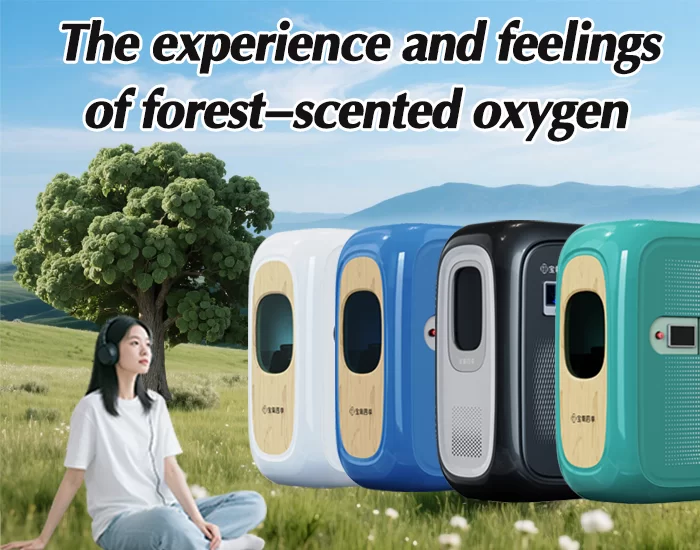 Type L Polymer Ecological Single – person Micro – Hyperbaric Oxygen Chamber